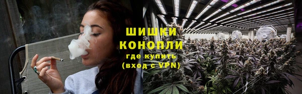 мяу мяу мука Аркадак