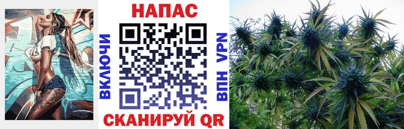 Шишки марихуана марихуана  Тейково 